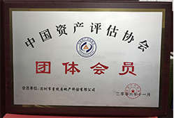 中国资产评估协会团体会员